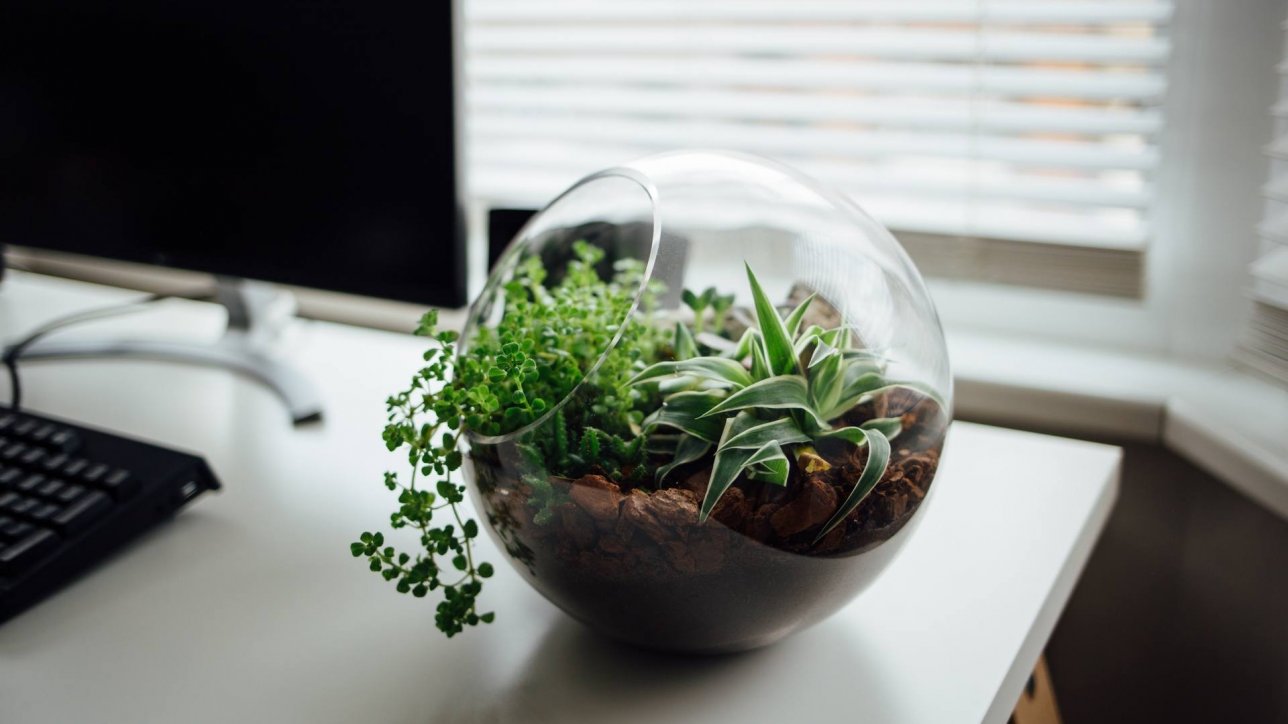 Ecological System in Office